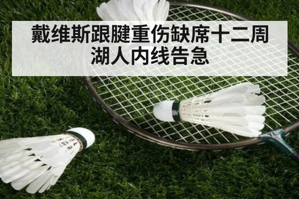 戴维斯跟腱重伤缺席十二周 湖人内线告急 | jiuyou